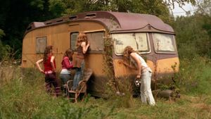 Wild Chicks's poster