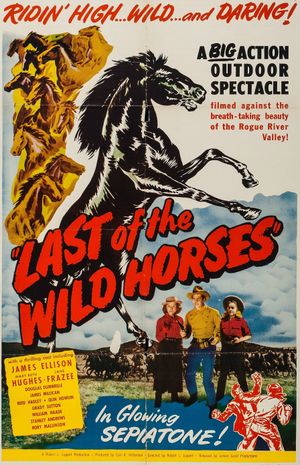 Last of the Wild Horses's poster