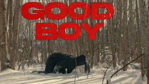 Good Boy's poster