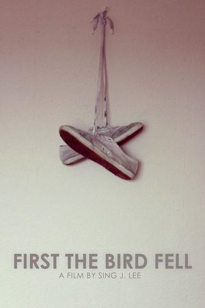 First the Bird Fell's poster