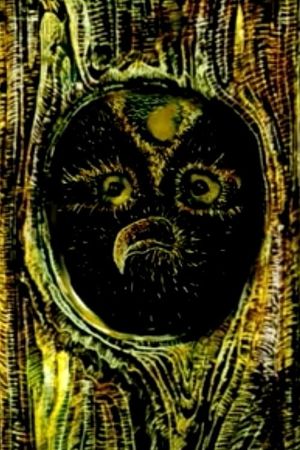 The Night Wood's poster