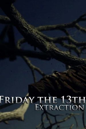 Friday The 13th: Extraction's poster image