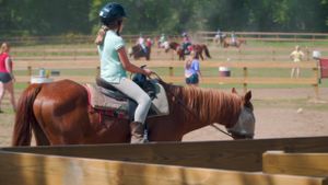 Horse Camp: A Love Tail's poster