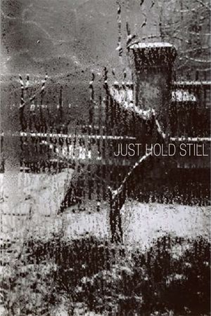 Just Hold Still's poster