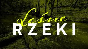 Leśne rzeki's poster