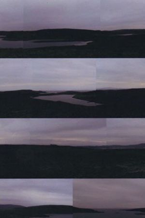 Détour, suivi de Jovan From Foula's poster