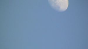 Moonwalk's poster