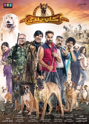 Kalb Baladi's poster