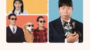 Dog Days's poster