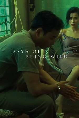 Days of Being Wild's poster