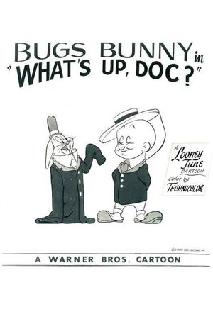 What's Up, Doc ?'s poster