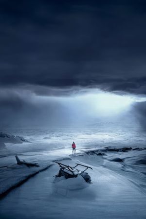 Arctic's poster