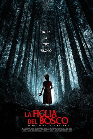 La figlia del bosco's poster