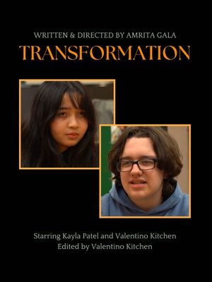 Transformation's poster