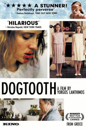 Dogtooth's poster