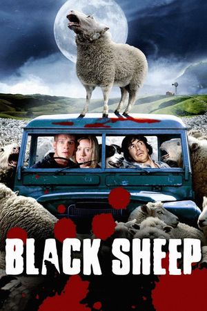 Black Sheep's poster