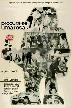 Procura-se uma Rosa's poster