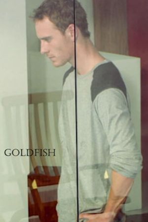 Goldfish's poster