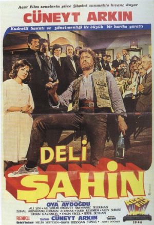 Deli Sahin's poster
