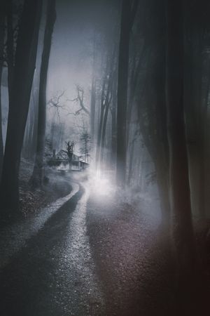 The Little Girl Who Lives Down the Lane's poster