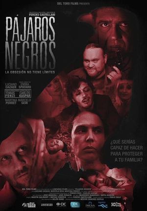Pájaros Negros's poster