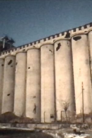 Silo Danube, Vukovar's poster