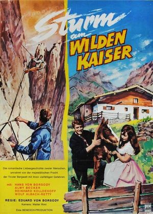 Bergwind's poster