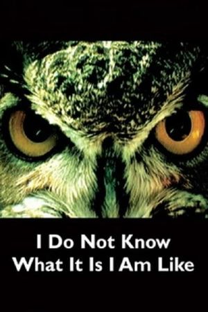 I Do Not Know What It Is I Am Like's poster