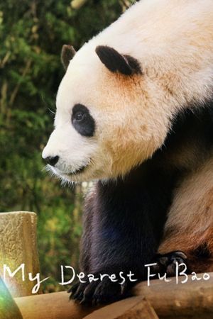 My Dearest Fu Bao's poster