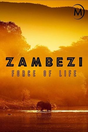 Zambezi: Force of Life's poster