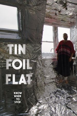 Tin Foil Flat's poster