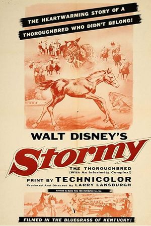 Stormy, the Thoroughbred's poster image