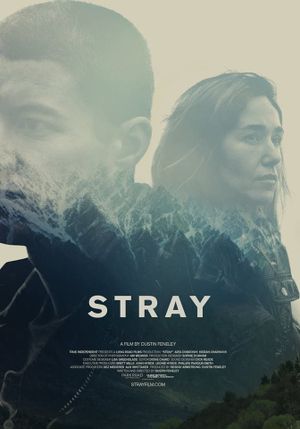 Stray's poster