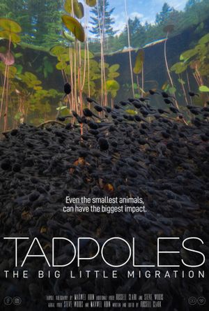 Tadpoles: The Big Little Migration's poster
