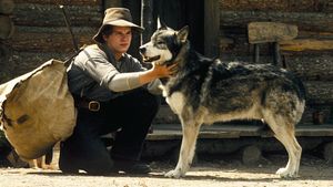 White Fang's poster