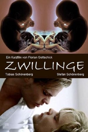 Twins's poster