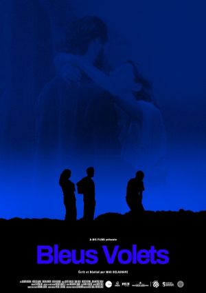 Bleus volets's poster