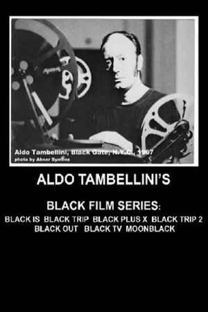 Black TV's poster