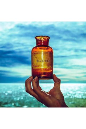 Blackfield V's poster