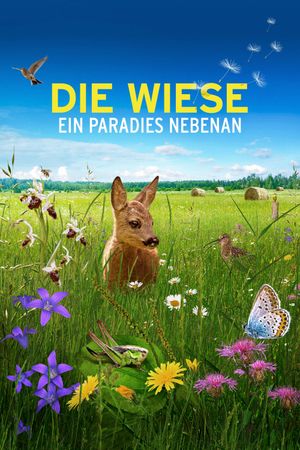 Die Wiese's poster