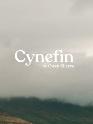 Cynefin's poster