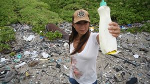 Plastic Paradise: The Great Pacific Garbage Patch's poster