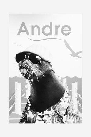 Andre's poster