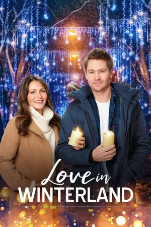 Love in Winterland's poster