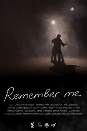 Remember me's poster