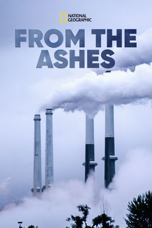 From the Ashes's poster