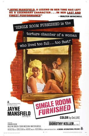Single Room Furnished's poster