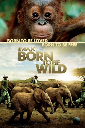 Born to Be Wild's poster