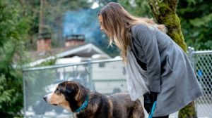Love at First Bark's poster