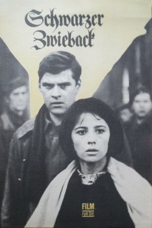 Chyornye sukhari's poster